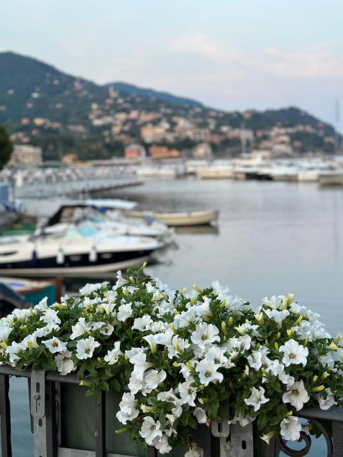 Town Flat Rapallo - Free Parking 外观 照片